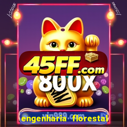 engenharia florestal ead cruzeiro do sul